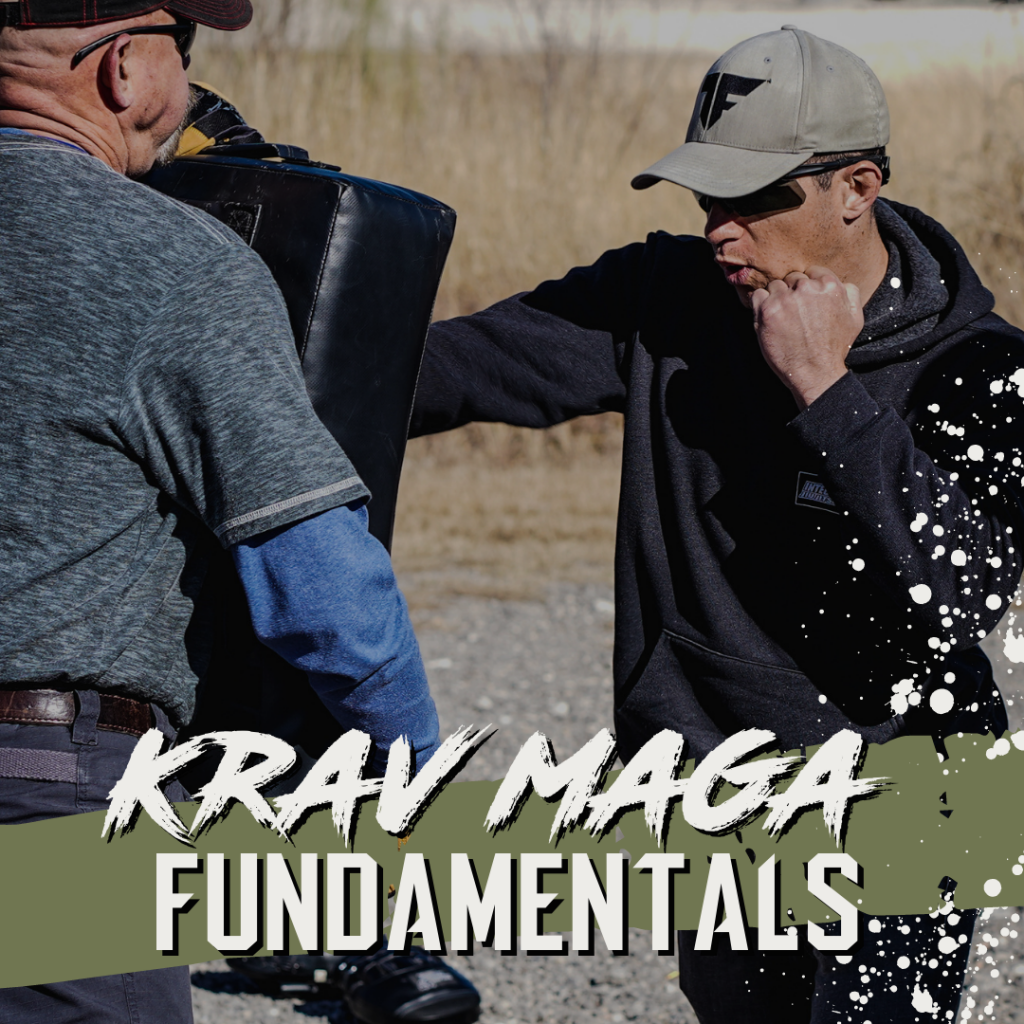 krav maga fundamentals